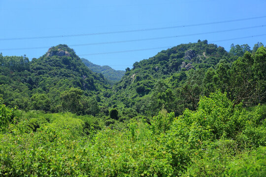 廈門 集美 龍公龍母雙嶺