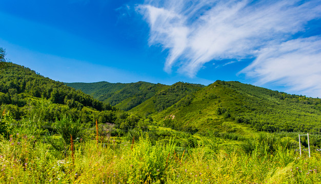 塞北林場(chǎng)