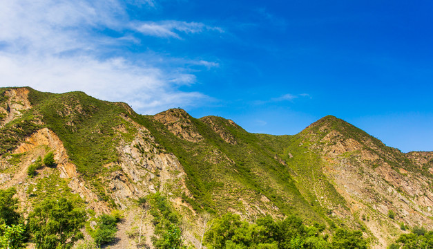 塞北林場