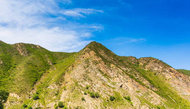 塞北林場