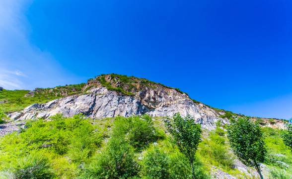 塞北林場(chǎng)