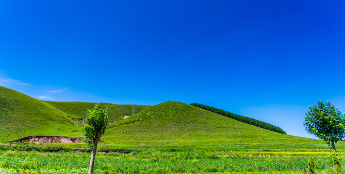 塞北林場
