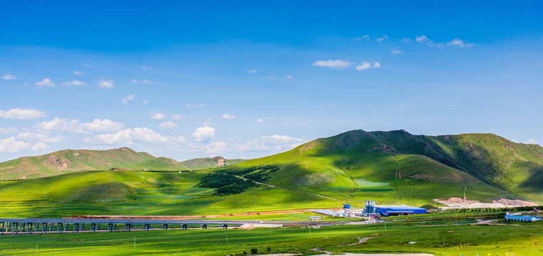 塞北林場