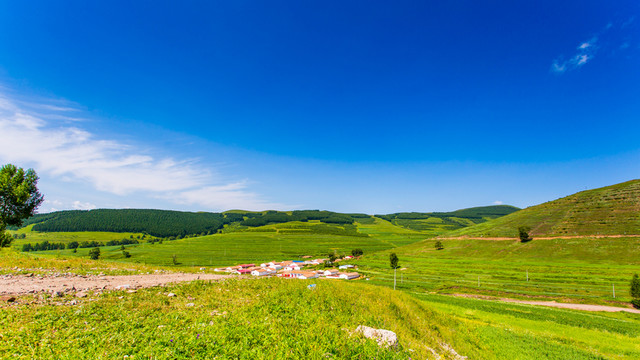 塞北林場(chǎng)