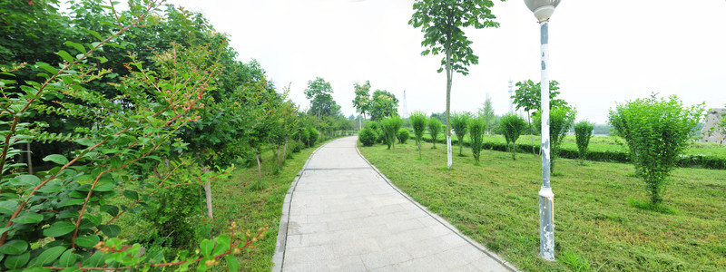 公園風(fēng)景  園林綠化