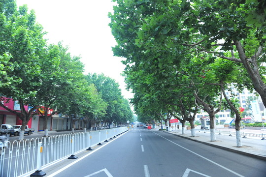 城鎮(zhèn)道路  城鎮(zhèn)風(fēng)景  道行樹
