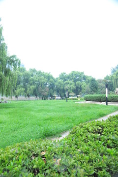 公園風(fēng)景  園林綠化