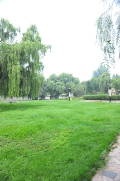 公園風(fēng)景