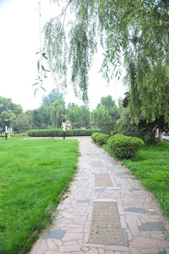 公園道路  小路 園林景觀