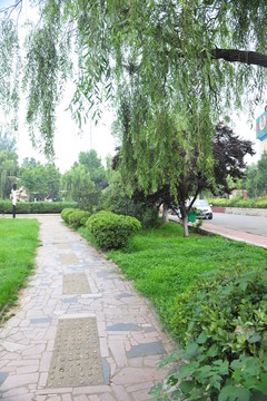 公園道路