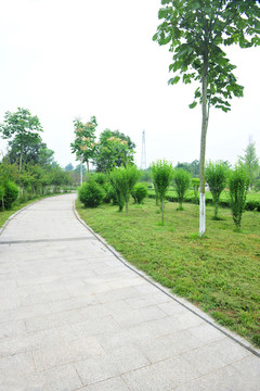 公園風景