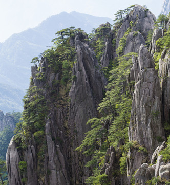 黃山
