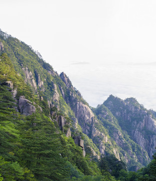 黃山