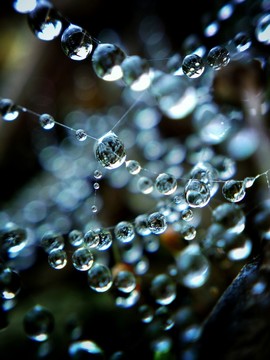 水珠