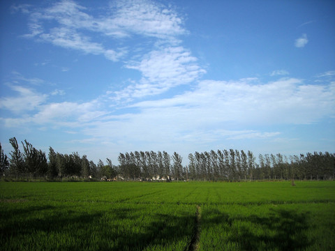 藍(lán)天白云
