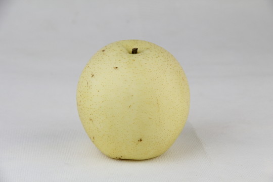 貢梨