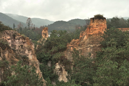 陸良 彩色 沙林