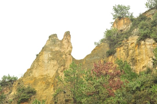 陸良 彩色 沙林