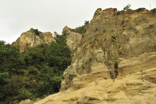 陸良 彩色 沙林