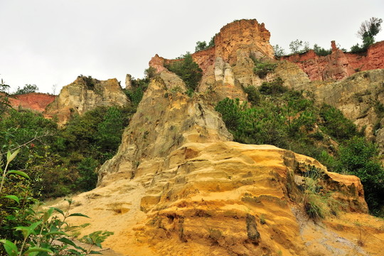 陸良 彩色 沙林