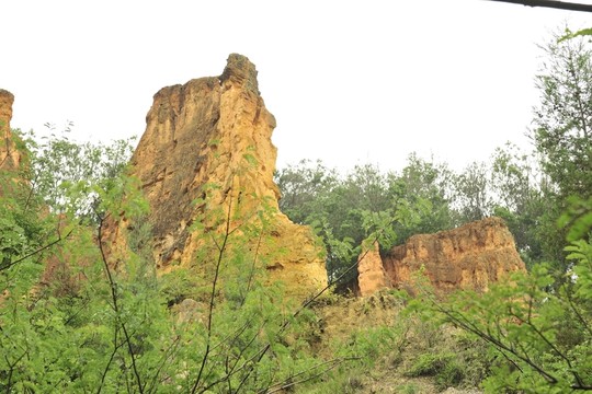 陸良 彩色 沙林