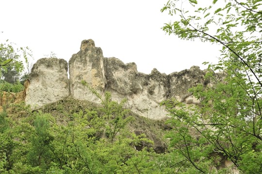 陸良 彩色 沙林
