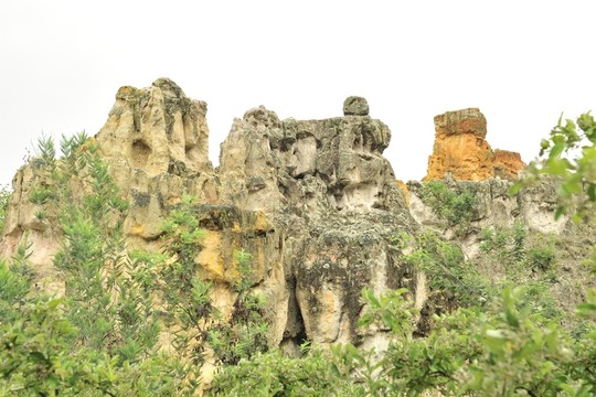 陸良 彩色 沙林