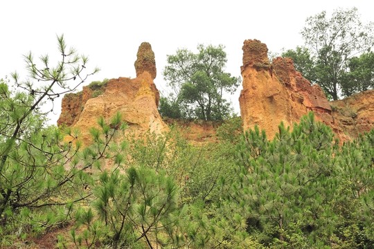 陸良 彩色 沙林