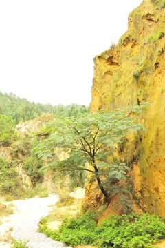 陸良 彩色 沙林