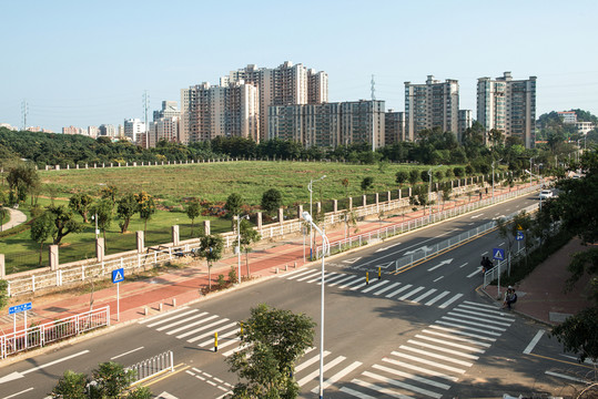 城市綠化建設(shè)