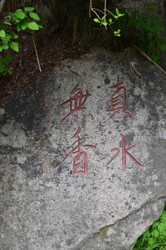 真水無(wú)香
