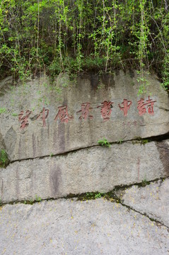 詩(shī)中畫(huà)景風(fēng)中望