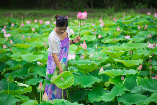 采荷