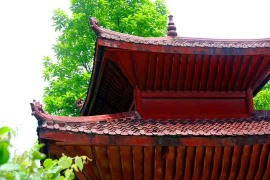 屋檐