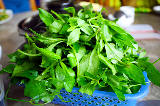野菜 鄉(xiāng)下 打火鍋