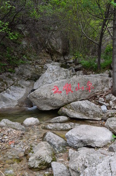 王順山泉