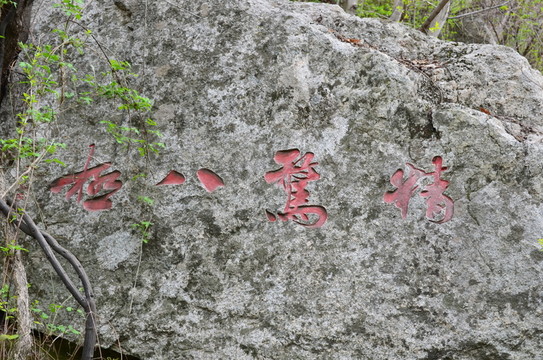 精警八極