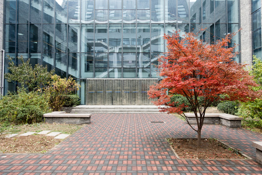 北京大學(xué)校園理科教學(xué)樓天井內(nèi)景