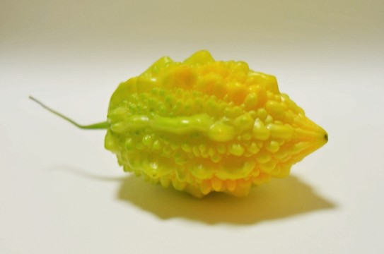 金鈴子 癩葡萄