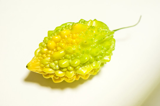 金鈴子 癩葡萄