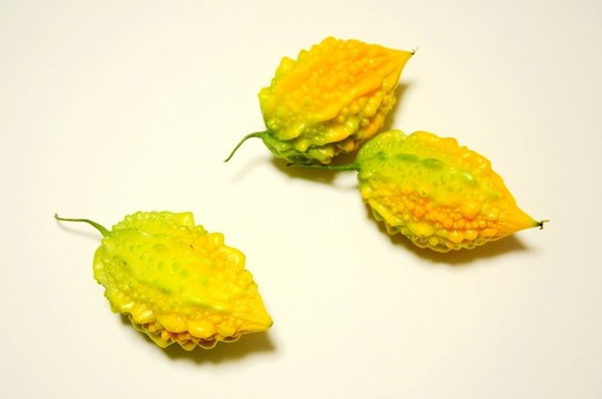 金鈴子 癩葡萄