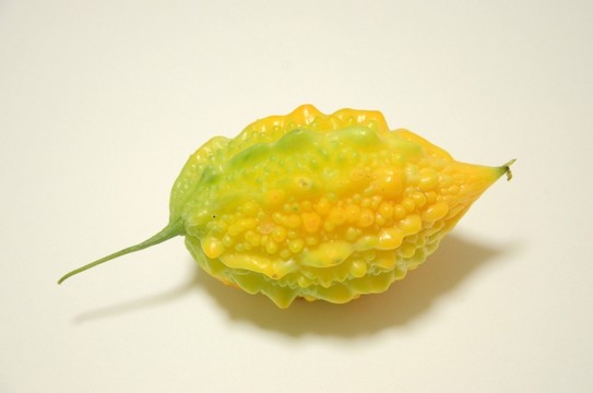 金鈴子 癩葡萄