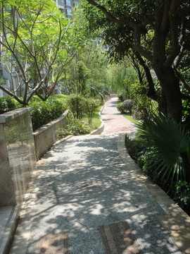 山間小路
