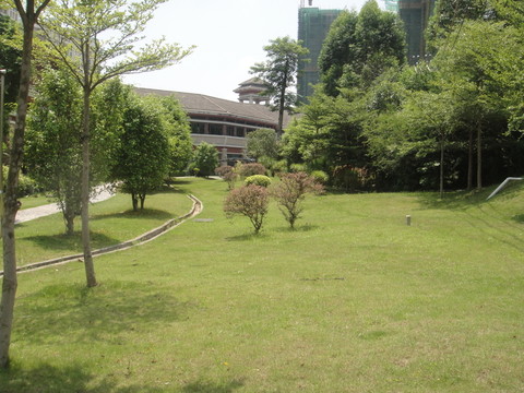 草坪