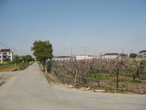 岔路