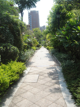 山間小路