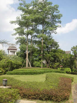 花園