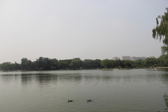 湖