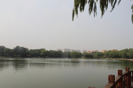 湖面