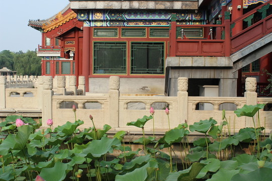 荷塘